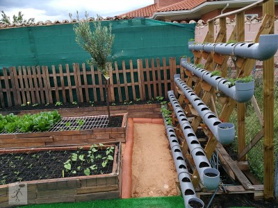 Primeros inquilinos. Fresón en el tubo más bajo y tomate Cherry en los altos.